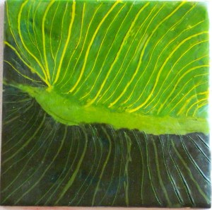 Cala Leaf Stage V 018-crop