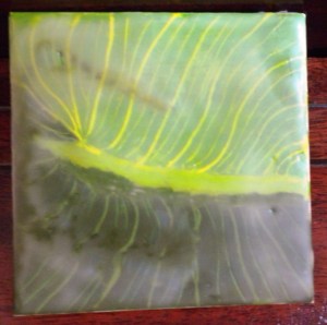 Calla leaf Stage VI 019-crop