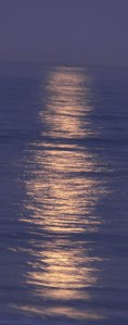 moonlight on water  041 dk-narrow